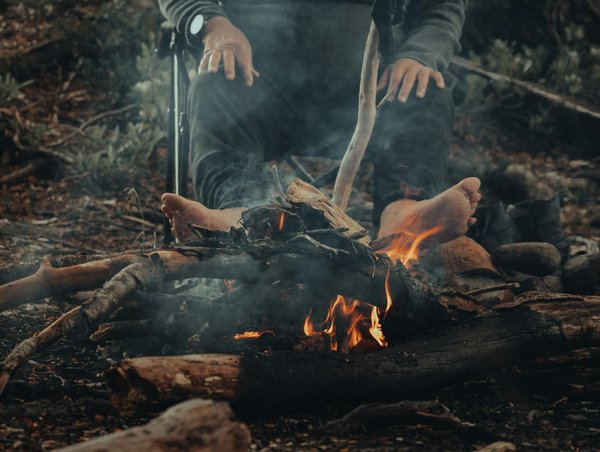 Camping en forêt : comment gérer les rencontres avec la faune
