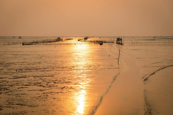 Découvrez le charme du camping la mer blanche à bénodet !