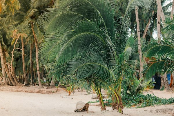Camping soigneusement sélectionné avec animaux acceptés en Picardie