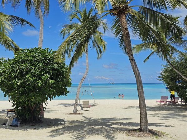 Sécurité comme Backpacker : Les 10 règles d'or